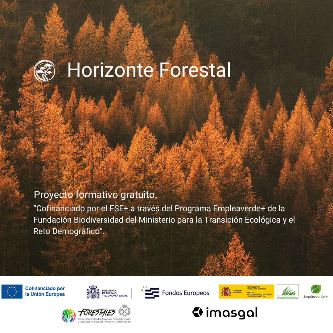 NP El Colegio Oficial de Ingenieros Técnicos Forestales e Imasgal ponen en marcha el proyecto «Horizonte Forestal»