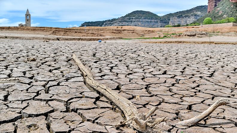 Estrategia Nacional de Lucha contra la Desertificación (ENLD)