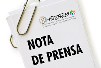 NP PREVENIR EL FUEGO ES GESTIONAR EL TERRITORIO. UN CAMBIO DE ENFOQUE IMPRESCINDIBLE