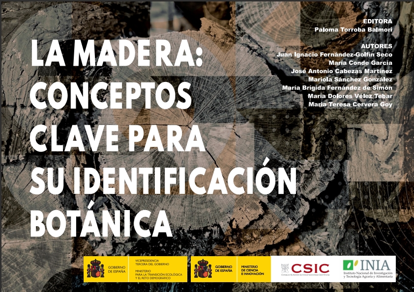 LA MADERA: CONCEPTOS CLAVE PARA SU IDENTIFICACIÓN BOTÁNICA